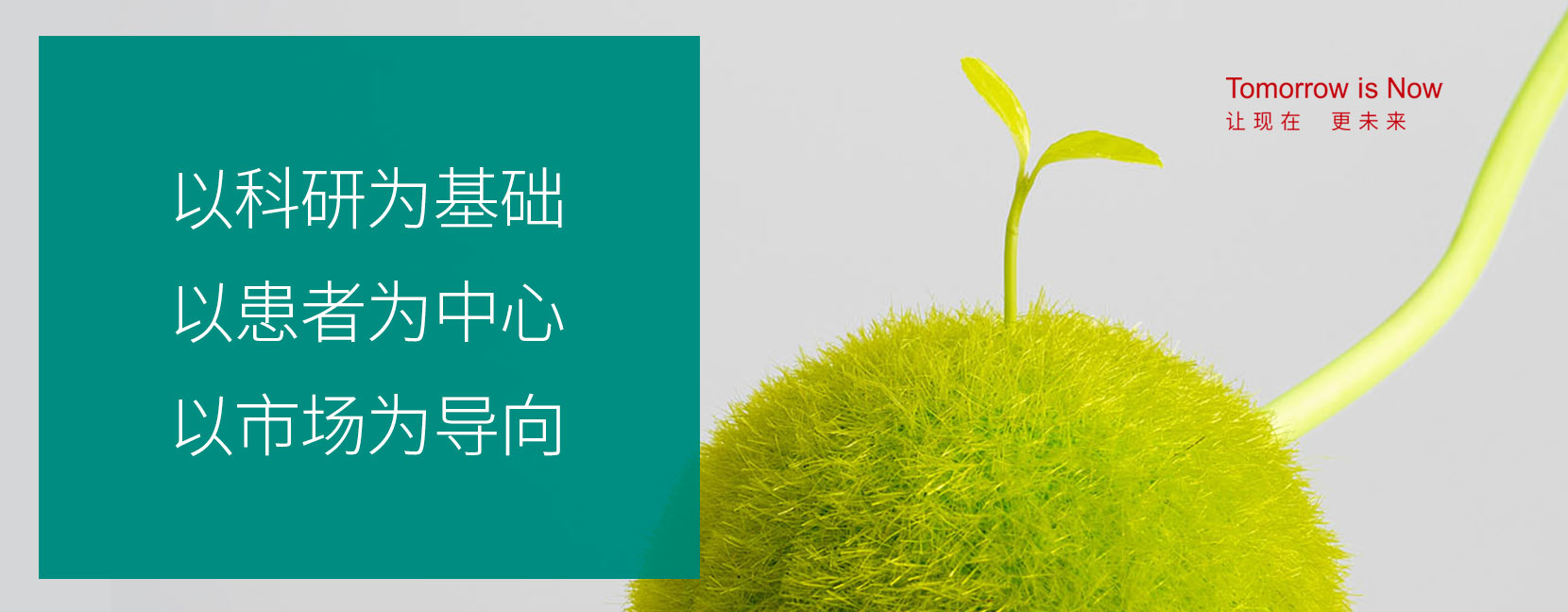开云(中国)官方健康